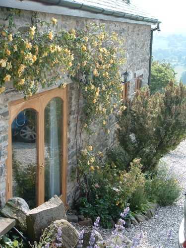 roses round cottage door