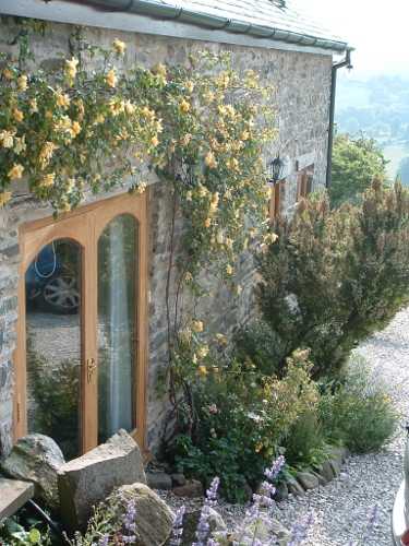 rosesdoor