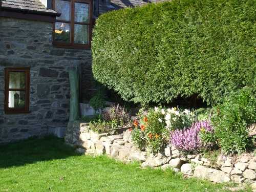 cottage garden herbs