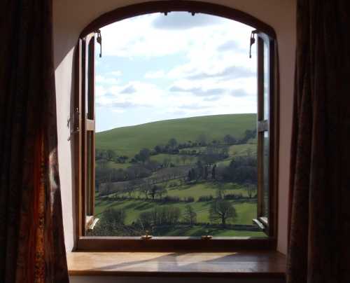 view from window