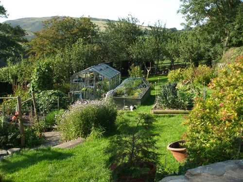kitchen garden